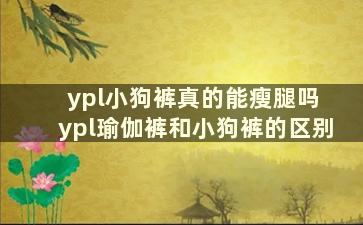 ypl小狗裤真的能瘦腿吗 ypl瑜伽裤和小狗裤的区别